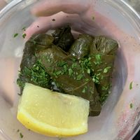 Grape leaves  at Falafel & Grill - Milwaukee in Chicago