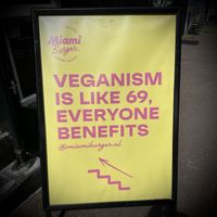   at The Sunny Burger Co. in Amsterdam