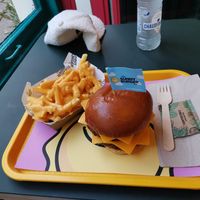 Just A Cheese Burger + Cheesy Fries at The Sunny Burger Co. in Amsterdam