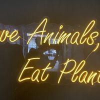   at Black Forest Cafe in Yogyakarta