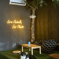  #Veganuary at Black Forest Cafe in Yogyakarta