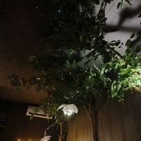  at Black Forest Cafe in Yogyakarta