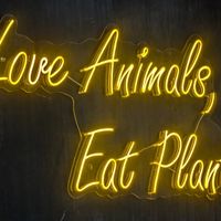  at Black Forest Cafe in Yogyakarta