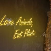 ❤️ at Black Forest Cafe in Yogyakarta