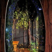  at Black Forest Cafe in Yogyakarta