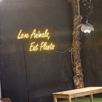  at Black Forest Cafe in Yogyakarta