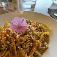   at ALB-GOLD Restaurant Sonne in Trochtelfingen