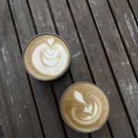 aussie magic and oat latte  at Arvo Coffee in Toronto