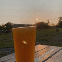   at Salt Point Brewing Co in Lansing