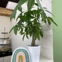 Be kind   at The Green Beautiful  in Manchester