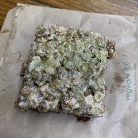 S’mores Rice Krispy with Edible Glitter: 5/5  at The Green Beautiful  in Manchester