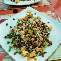 Baião de dois vegano at Borogodó Nordestino in Cabo Frio