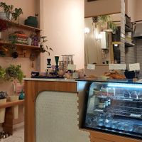 Shop at Sisters & Harvest in Istanbul