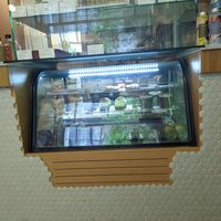  at Sisters & Harvest in Istanbul