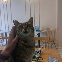  at Sisters & Harvest in Istanbul