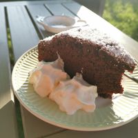 Schokokuchen vegan mit veganer Sahne at Café Enehus in Einhaus