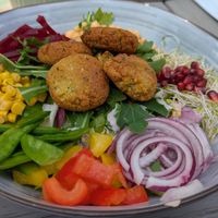 Falafel salad bowl at Café Enehus in Einhaus