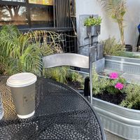   at Blue Fog Market in San Francisco