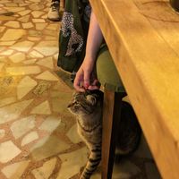  at Arch Bistro in Istanbul