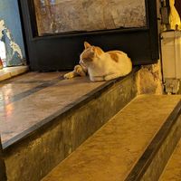  at Arch Bistro in Istanbul