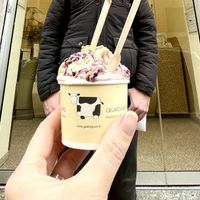   at Il Gelato Giusto in Gavirate