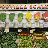   at Central Market in Austin