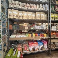   at Green Habit in Ubud