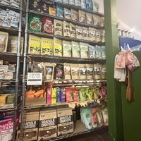   at Green Habit in Ubud