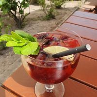 Home-made blackberry lemonade at Gastwirtschaft im Küchengebäude am Wörlitzer Schloß in Oranienbaum-woerlitz