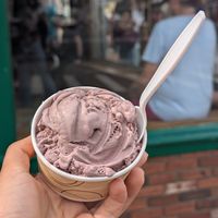 Black Raspberry vegan Ice Cream at Lewis Brothers Homemade Ice Cream in Provincetown