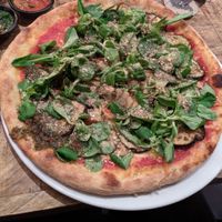 Garden at Vegan Pizza Bar in The Hague