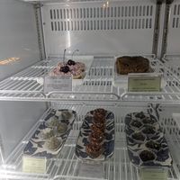 Dessert fridge d at Green Earth in Dubai