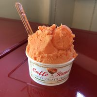 blood orange sorbet  at Caffe Romeo in Charleston