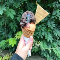 vegan chocolate and orange sorbet : )  at Caffe Romeo in Charleston