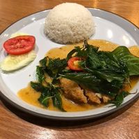 Plant-based chicken with basil - so tasty! at Baanying's Plant-Based Ying's Garden  in Bangkok
