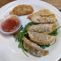 Gyozas at The Sushi Samurai - Queen Anne in Seattle