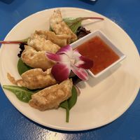 Gyoza  at The Sushi Samurai - Queen Anne in Seattle