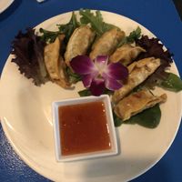 Gyozas  at The Sushi Samurai - Queen Anne in Seattle