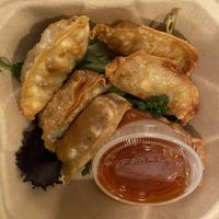 Gyozas. So good!  at The Sushi Samurai - Queen Anne in Seattle