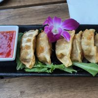 Gyoza at The Sushi Samurai - Queen Anne in Seattle