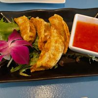 Gyoza  at The Sushi Samurai - Queen Anne in Seattle