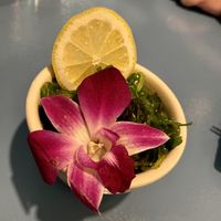 Seaweed salad  at The Sushi Samurai - Queen Anne in Seattle