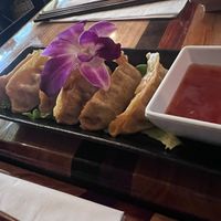 Potstickers   at The Sushi Samurai - Queen Anne in Seattle