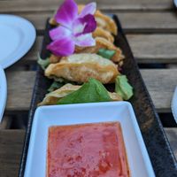 Pot stickers at The Sushi Samurai - Queen Anne in Seattle