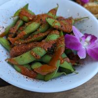 Spicy edemonane at The Sushi Samurai - Queen Anne in Seattle