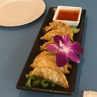 Gyozas! at The Sushi Samurai - Queen Anne in Seattle