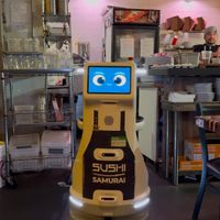 Mio, the courteous robot  at The Sushi Samurai - Queen Anne in Seattle