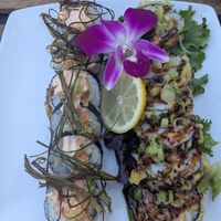 PNW and Mr. Krabs at The Sushi Samurai - Queen Anne in Seattle