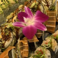 Variety of vegan rolls  at The Sushi Samurai - Queen Anne in Seattle