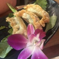 Gyoza  at The Sushi Samurai - Queen Anne in Seattle
